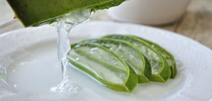 Aloes do picia – właściwości i zastosowanie